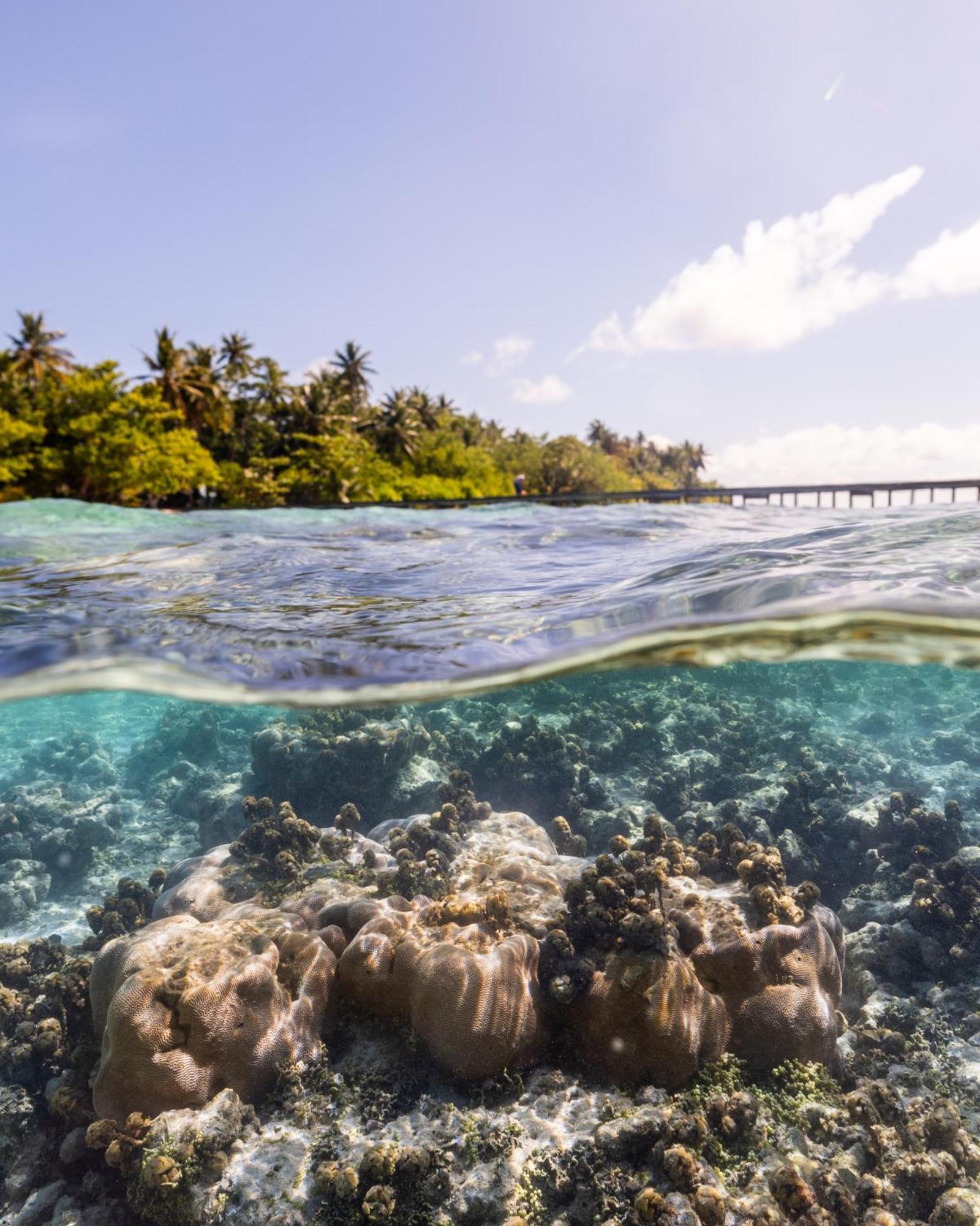 Kirulhiya Maldives Hotel Omadhoo Eksteriør bilde